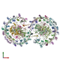 PDB entry 4v9g coloured by chain, front view.
