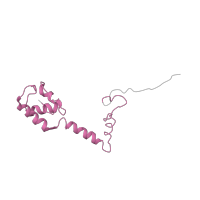 The deposited structure of PDB entry 4v9i contains 2 copies of Pfam domain PF00416 (Ribosomal protein S13/S18) in Small ribosomal subunit protein uS13. Showing 1 copy in chain M [auth AM].