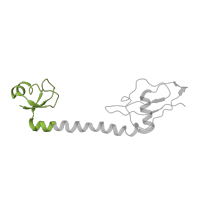 The deposited structure of PDB entry 4v9i contains 2 copies of Pfam domain PF01281 (Ribosomal protein L9, N-terminal domain) in Large ribosomal subunit protein bL9. Showing 1 copy in chain HA [auth BI].