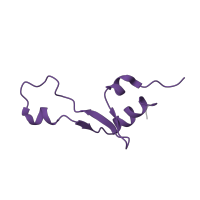 The deposited structure of PDB entry 4v9i contains 2 copies of Pfam domain PF01632 (Ribosomal protein L35) in Large ribosomal subunit protein bL35. Showing 1 copy in chain EB [auth B8].