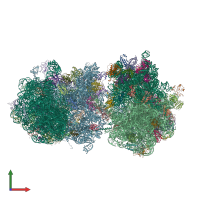 PDB entry 4v9i coloured by chain, front view.