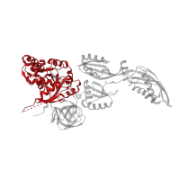 The deposited structure of PDB entry 4v9l contains 2 copies of Pfam domain PF00009 (Elongation factor Tu GTP binding domain) in Elongation factor G. Showing 1 copy in chain W [auth AY].