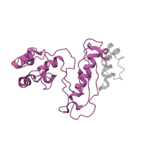 The deposited structure of PDB entry 4v9l contains 2 copies of Pfam domain PF00687 (Ribosomal protein L1p/L10e family) in Large ribosomal subunit protein uL1. Showing 1 copy in chain Y [auth BC].