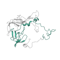 The deposited structure of PDB entry 4v9l contains 2 copies of Pfam domain PF03947 (Ribosomal Proteins L2, C-terminal domain) in Large ribosomal subunit protein uL2. Showing 1 copy in chain Z [auth BD].
