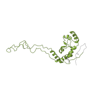 The deposited structure of PDB entry 4v9l contains 2 copies of Pfam domain PF00573 (Ribosomal protein L4/L1 family) in Large ribosomal subunit protein uL4. Showing 1 copy in chain BA [auth BF].