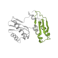 The deposited structure of PDB entry 4v9l contains 2 copies of Pfam domain PF00189 (Ribosomal protein S3, C-terminal domain) in Small ribosomal subunit protein uS3. Showing 1 copy in chain B [auth AC].