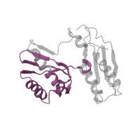 The deposited structure of PDB entry 4v9l contains 2 copies of Pfam domain PF07650 (KH domain) in Small ribosomal subunit protein uS3. Showing 1 copy in chain B [auth AC].