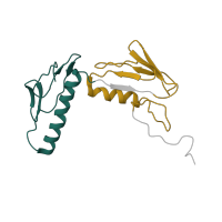 The deposited structure of PDB entry 4v9l contains 4 copies of Pfam domain PF00347 (Ribosomal protein L6) in Large ribosomal subunit protein uL6. Showing 2 copies in chain DA [auth BH].