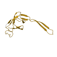 The deposited structure of PDB entry 4v9l contains 2 copies of Pfam domain PF00829 (Ribosomal prokaryotic L21 protein) in Large ribosomal subunit protein bL21. Showing 1 copy in chain OA [auth BV].