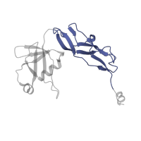 The deposited structure of PDB entry 4v9l contains 2 copies of Pfam domain PF14693 (Ribosomal protein TL5, C-terminal domain) in Large ribosomal subunit protein bL25. Showing 1 copy in chain SA [auth BZ].