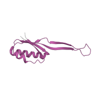 The deposited structure of PDB entry 4v9l contains 2 copies of Pfam domain PF00338 (Ribosomal protein S10p/S20e) in Small ribosomal subunit protein uS10. Showing 1 copy in chain I [auth AJ].