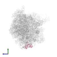 Large ribosomal subunit protein uL1 in PDB entry 4v9m, assembly 1, side view.