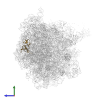 Small ribosomal subunit protein uS8 in PDB entry 4v9m, assembly 1, side view.