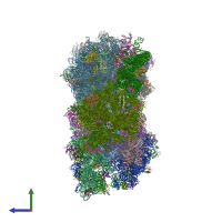 PDB entry 4v9p coloured by chain, side view.