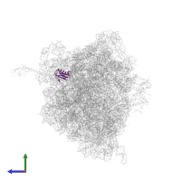 Small ribosomal subunit protein uS11 in PDB entry 4v9q, assembly 1, side view.