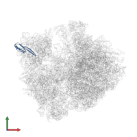 Small ribosomal subunit protein uS10 in PDB entry 4v9r, assembly 2, front view.