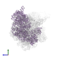 16S ribosomal RNA in PDB entry 4w29, assembly 2, side view.
