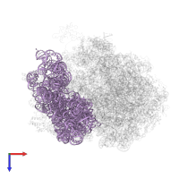 16S ribosomal RNA in PDB entry 4w29, assembly 2, top view.