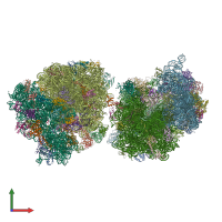 PDB entry 4w2f coloured by chain, front view.