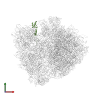 Small ribosomal subunit protein uS13 in PDB entry 4w2f, assembly 2, front view.