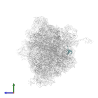 Small ribosomal subunit protein bS18 in PDB entry 4w2f, assembly 2, side view.