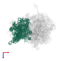 16S ribosomal RNA in PDB entry 4w2f, assembly 2, top view.