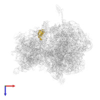 Small ribosomal subunit protein uS11 in PDB entry 4w2h, assembly 2, top view.