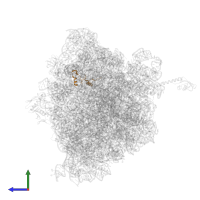 30S Ribosomal Protein S14 in PDB entry 4w2h, assembly 2, side view.