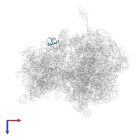 Small ribosomal subunit protein bS18 in PDB entry 4w2h, assembly 2, top view.