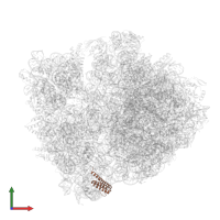 Small ribosomal subunit protein bS20 in PDB entry 4w2h, assembly 2, front view.