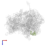 Large ribosomal subunit protein uL13 in PDB entry 4w2h, assembly 2, top view.