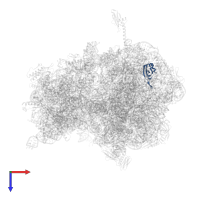 Large ribosomal subunit protein uL23 in PDB entry 4w2h, assembly 2, top view.