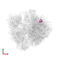 Large ribosomal subunit protein uL30 in PDB entry 4w2h, assembly 2, front view.