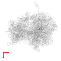 Large ribosomal subunit protein bL35 in PDB entry 4w2h, assembly 2, top view.