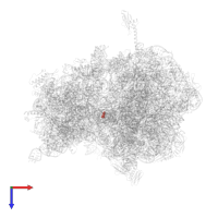 Modified residue 4SU in PDB entry 4w2h, assembly 2, top view.