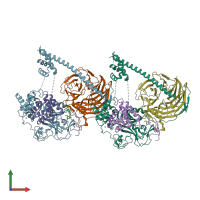 PDB entry 4w2r coloured by chain, front view.