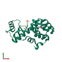 PDB entry 4w56 coloured by chain, front view.