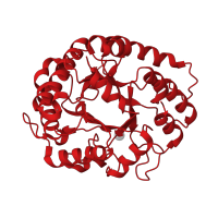 The deposited structure of PDB entry 4w85 contains 2 copies of CATH domain 3.20.20.80 (TIM Barrel) in Glycoside hydrolase family 5 domain-containing protein. Showing 1 copy in chain A.