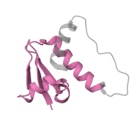 The deposited structure of PDB entry 4w9k contains 4 copies of Pfam domain PF03931 (Skp1 family, tetramerisation domain) in Elongin-C. Showing 1 copy in chain E.