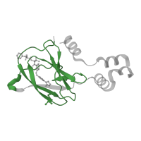 The deposited structure of PDB entry 4w9k contains 4 copies of Pfam domain PF01847 (VHL beta domain) in von Hippel-Lindau disease tumor suppressor. Showing 1 copy in chain F.
