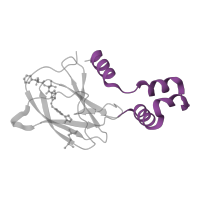 The deposited structure of PDB entry 4w9k contains 4 copies of Pfam domain PF17211 (VHL box domain) in von Hippel-Lindau disease tumor suppressor. Showing 1 copy in chain F.