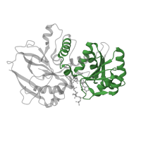 The deposited structure of PDB entry 4was contains 3 copies of Pfam domain PF00107 (Zinc-binding dehydrogenase) in Enoyl-[acyl-carrier-protein] reductase 1, mitochondrial. Showing 1 copy in chain A.