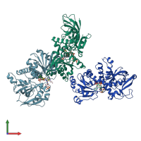 PDB entry 4was coloured by chain, front view.