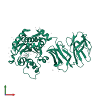 Conserved hypothetical secreted protein in PDB entry 4wcn, assembly 1, front view.