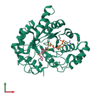 PDB entry 4wdt coloured by chain, front view.