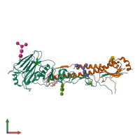 PDB entry 4we4 coloured by chain, front view.