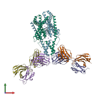 PDB entry 4wfe coloured by chain, front view.