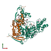 PDB entry 4wkt coloured by chain, front view.