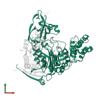 Acyl-homoserine lactone acylase PvdQ subunit beta in PDB entry 4wkt, assembly 1, front view.