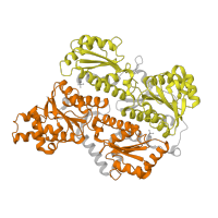 The deposited structure of PDB entry 4wl0 contains 8 copies of Pfam domain PF00365 (Phosphofructokinase) in ATP-dependent 6-phosphofructokinase, platelet type. Showing 2 copies in chain B.